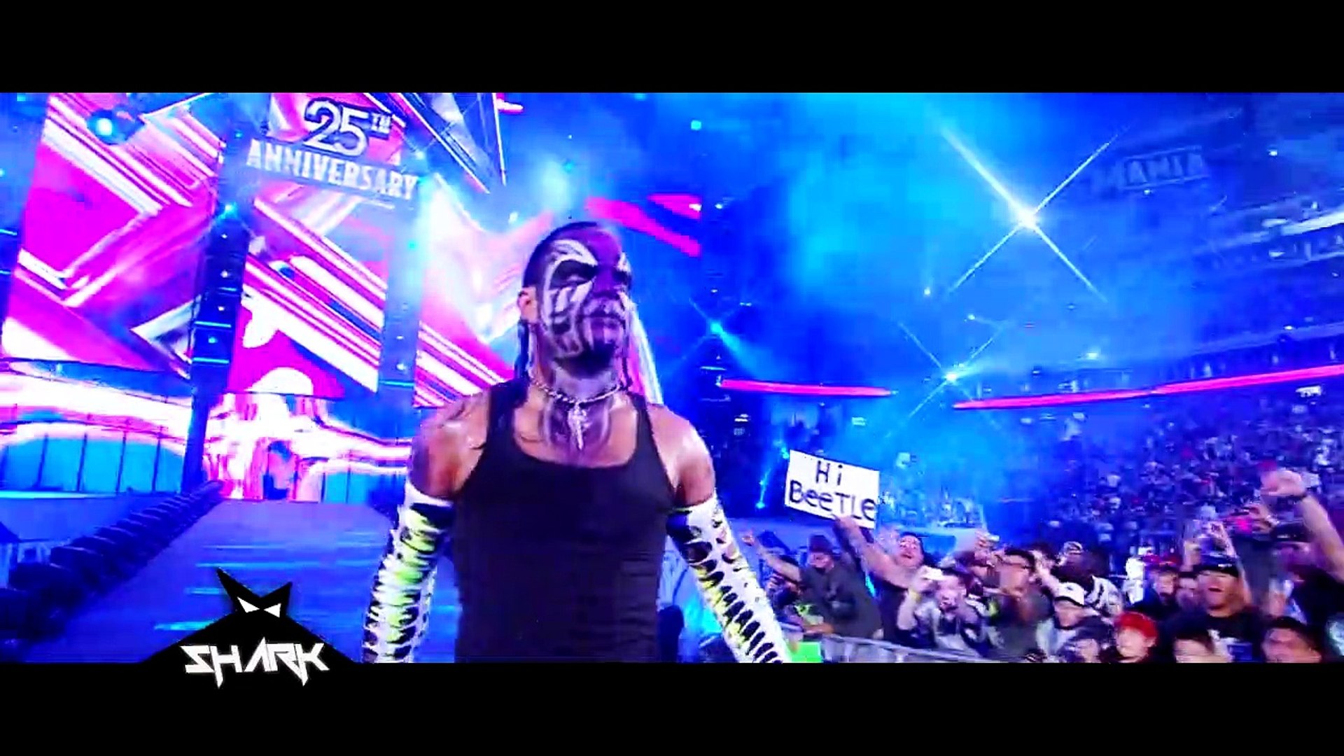 Jeff Hardy Vs Matt Hardy Wrestlemania 25