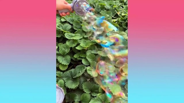 Recreation TV || Những Video thư giãn để giúp bạn loại bỏ căng thẳng mệt mỏi #2