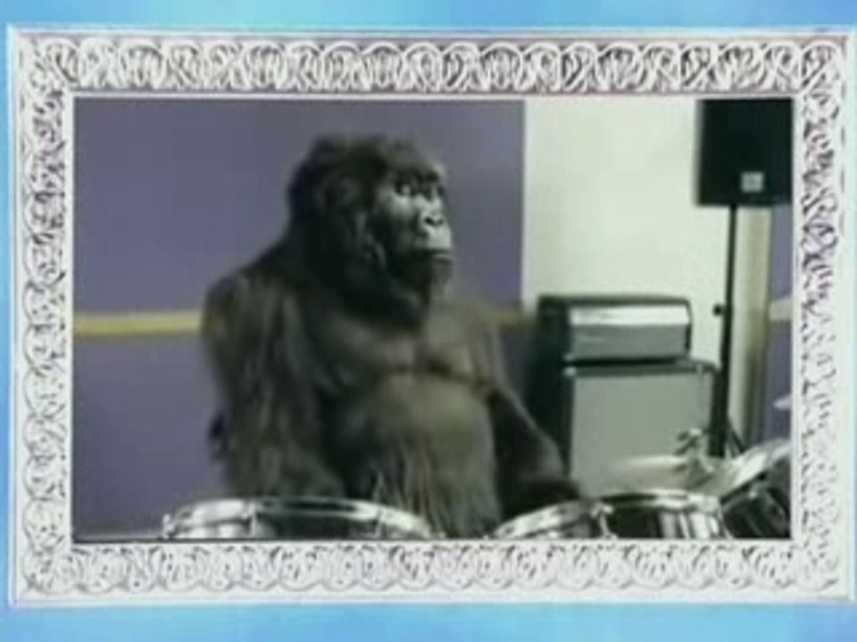 Le gorille a la batterie