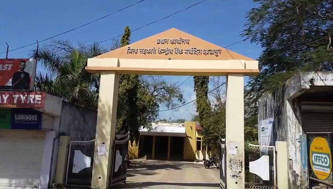 शाजापुर में 3.60 लाख टन गेहू खरीदा, आंकड़ा 4.20 लाख टन पहुंचेगा