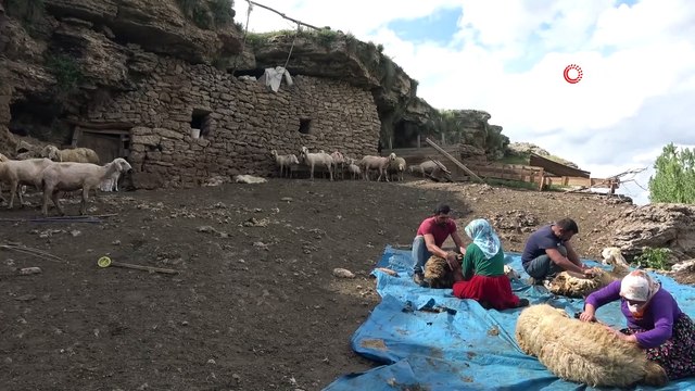 Mağarada organik hayvancılık