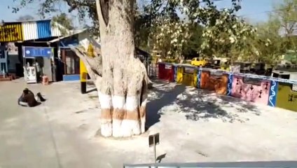 शाजापुर ट्रेन हुई शुरू, कल शाजापुर आएगी साबरमती एक्सप्रेस