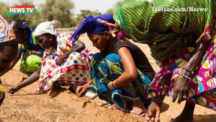 El Nino cổ đại trên đại dương: Có nguy cơ trỗi dậy sau 21.000 năm