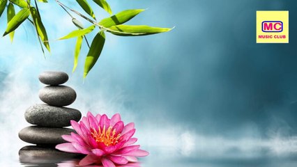 Dreamland relaxing piano music with beautiful landscapes l Music Club l 2020 l *EXclusive*