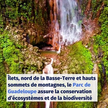 Vacances en France 2020 : découvrez les 11 parcs nationaux de notre pays