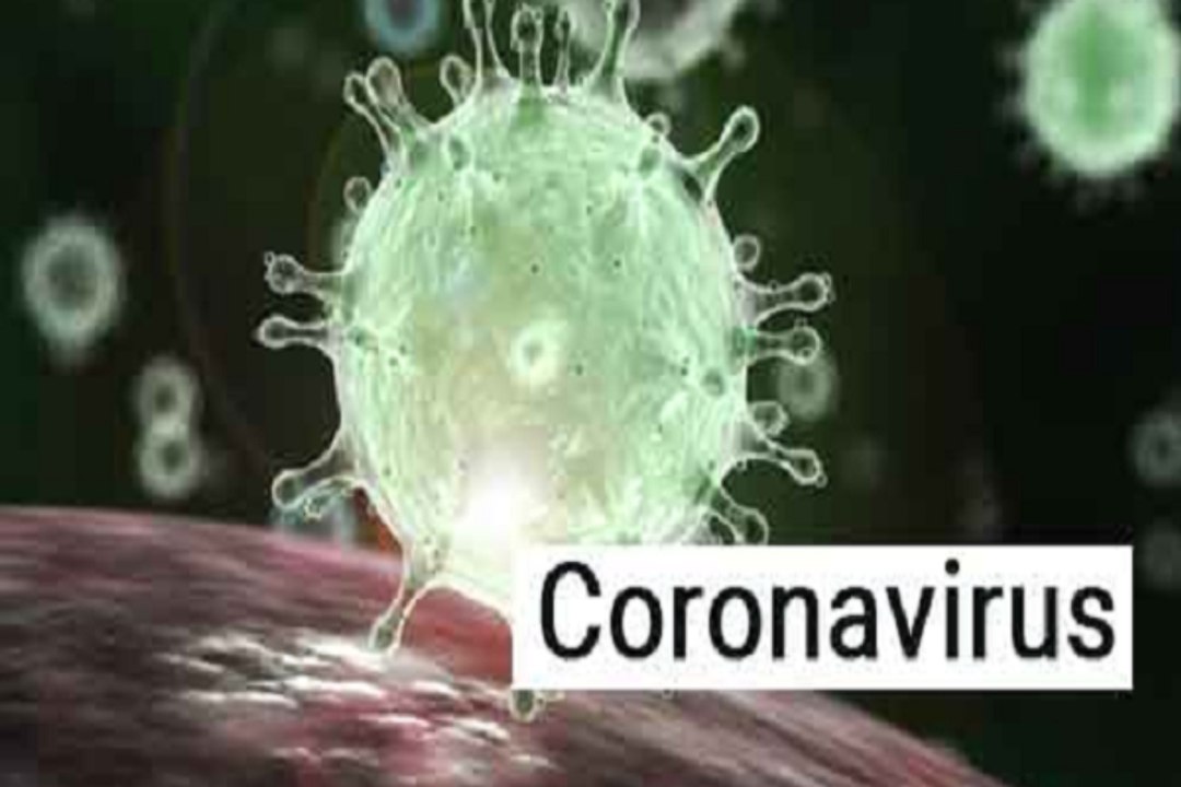 grandmother died of coronavirus, grandson commi...