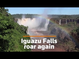 Iguazu Falls roar once again as rain returns