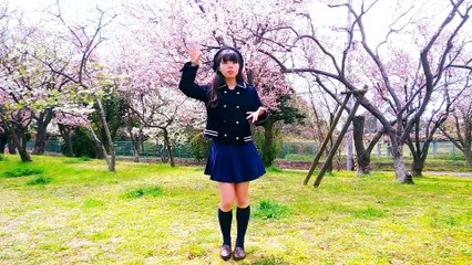 Sakura Rain【桜ノ雨】- By Katyi Pup ( English Ver. ) feat Blue Curry dance