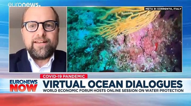 World Oceans Day: France increases fines for littering as plastic masks and gloves found on seabed