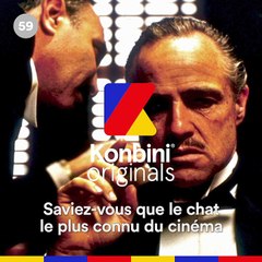 De la gouttière aux bras de Marlon Brandon : l'histoire du chat du Parrain