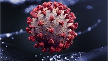 Fabric May Neutralize Coronaviruses