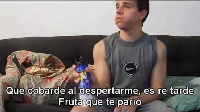 El mosquito me levantó y te picaron los mosquitos en el aire