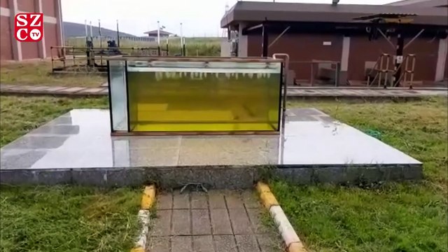 İSKİ’den Riva Deresi açıklaması: Arıtma tesisi 7 gün 24 saat çalışıyor