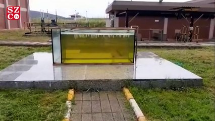 İSKİ’den Riva Deresi açıklaması: Arıtma tesisi 7 gün 24 saat çalışıyor