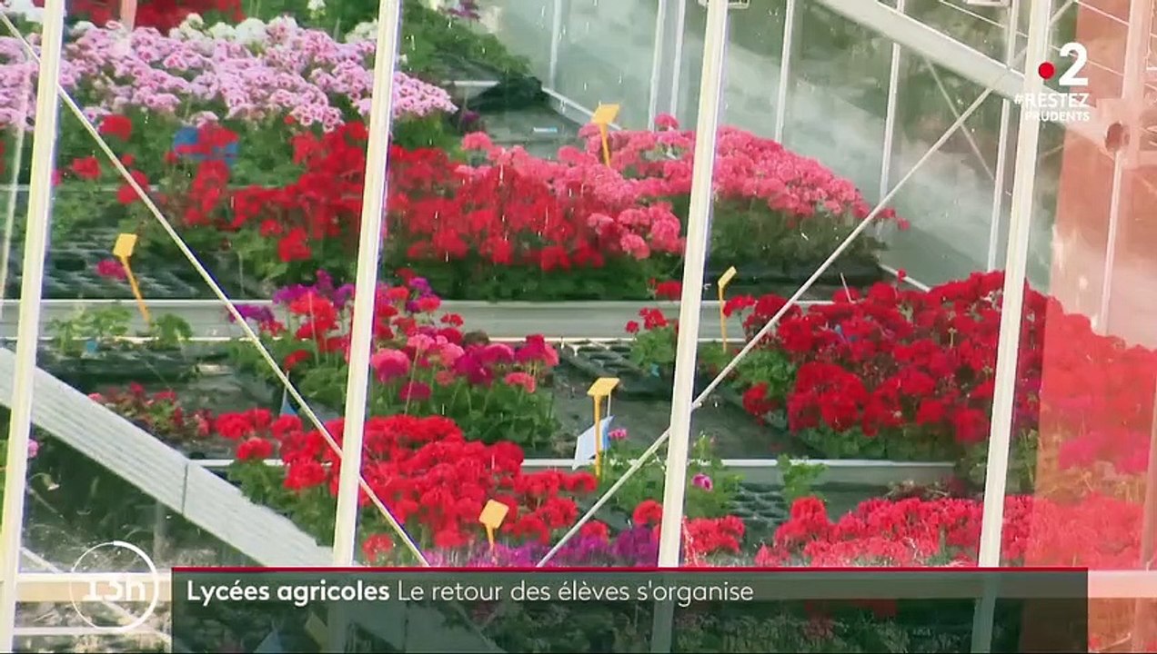 Déconfinement : le casse-tête des internats pour les lycées