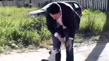 Repórter teve de interromper reportagem para brincar com cães de rua