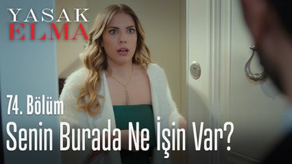 Kerim, Yıldız'ın kapısına dayanırsa... - Yasak Elma 74. Bölüm