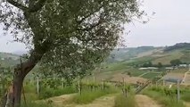 Abruzzo - Convenzione tra Regione e Collegio Periti agrari per tirocinio giovani diplomati (27.05.20)