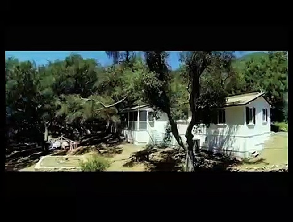 Tráfico de Mulheres - Trailer