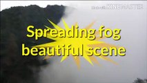 Spreading fog | a very beautiful scene|pure natural scene |slowly spreading fog