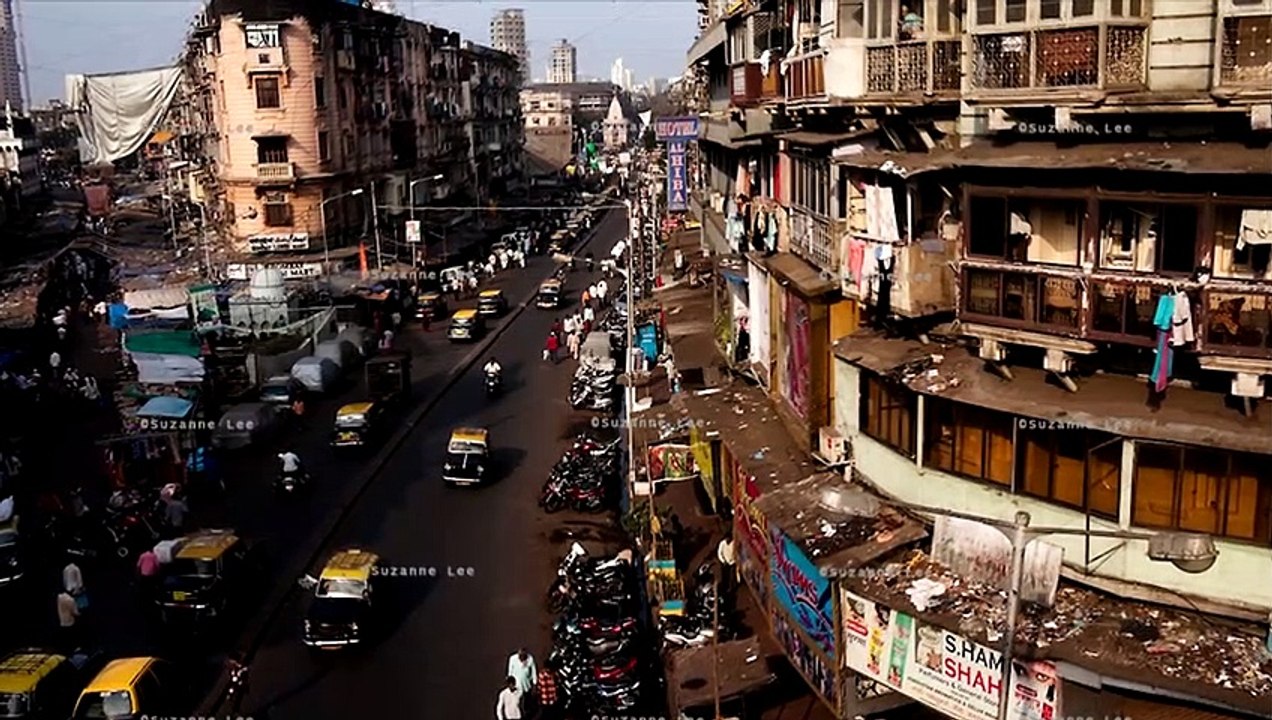 Perros azules en India