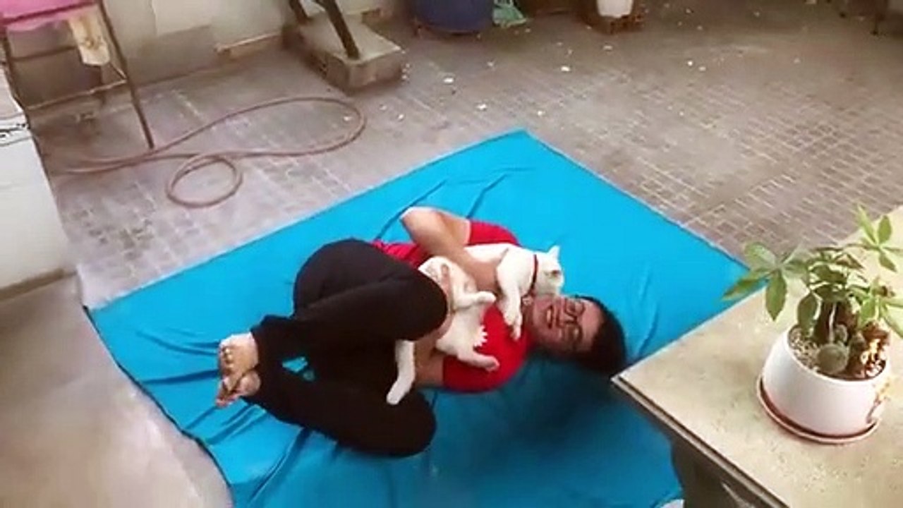 Se jeter du toit avec son chat