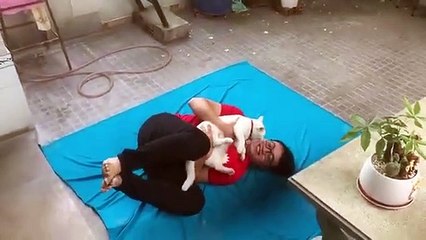 Se jeter du toit avec son chat