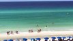 Un requin s'approche d'une fille en bord de plage à Destin, en Floride
