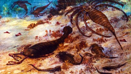 CURIOSIDADES Del ESCORPIÓN