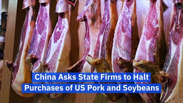 China Asks State Firms to Halt Purchases of US Pork and Soybeans