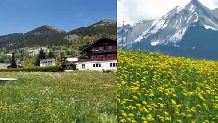 A vendre - Terrain - Leysin (1854) - 6 760m²