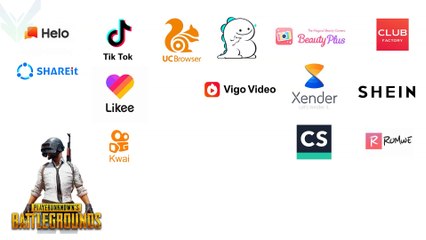 How many Crores did Tiktok Earn?