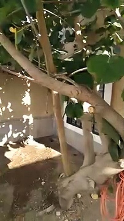 Cuando agarras a tu carnal en la movida xd