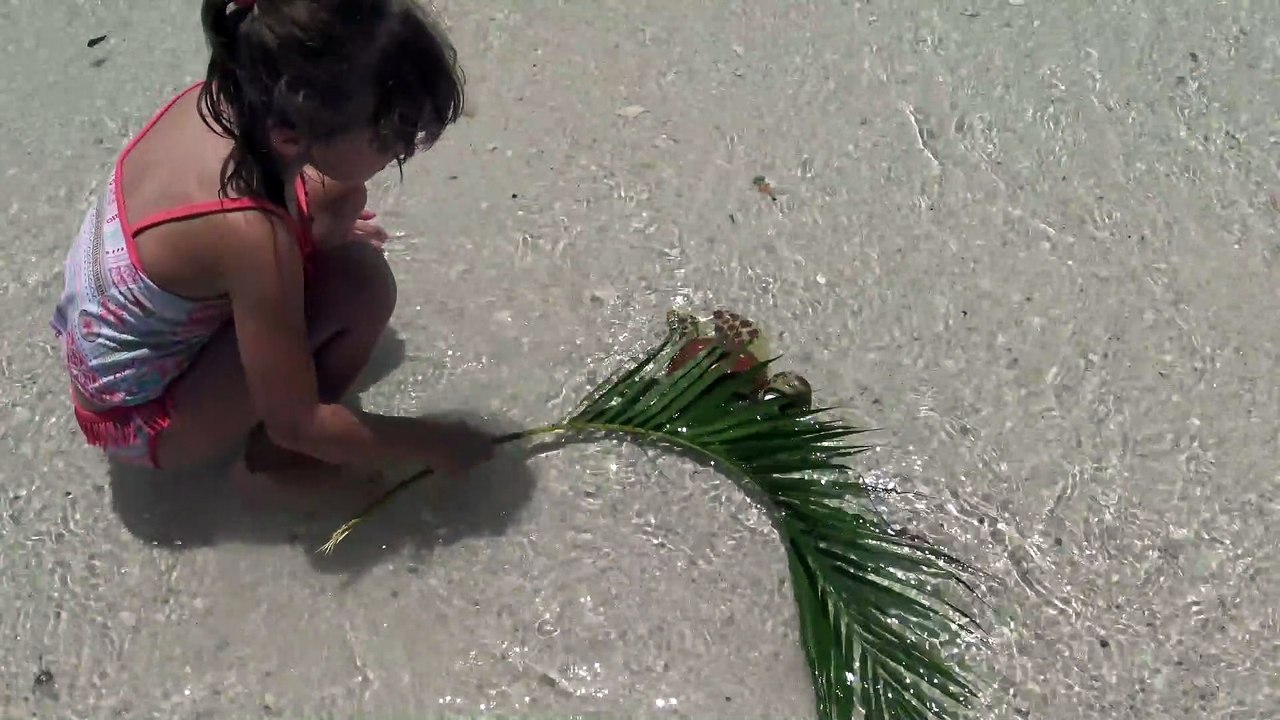 Baby Moana Brincando  na   Praia