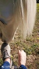 Horse Thinks Mom has Smelly Feet