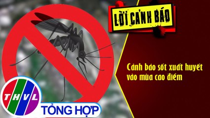 Cảnh báo sốt xuất huyết vào mùa cao điểm