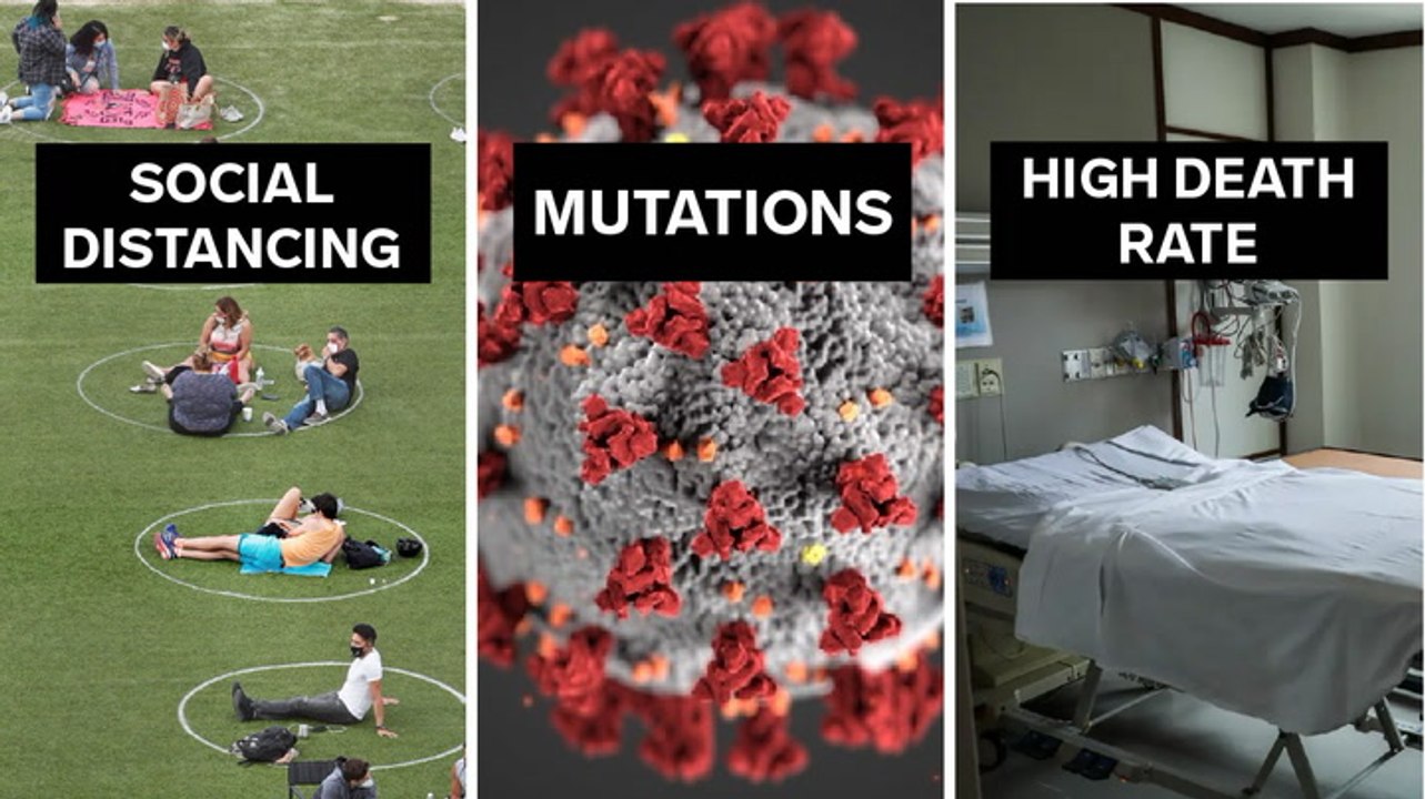 2 truths and a lie about the coronavirus about social distancing, mutations, and death rates