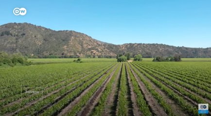 Energi Matahari untuk Atasi Krisis Air Akibat Kekeringan di Chile