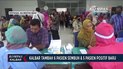 Download Video: Kalbar Catat 6 Pasien Covid-19 Sembuh, 5 Orang Terkonfirmasi Positif