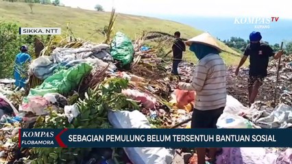 Kisah Pemulung Kabupaten Sikka Di Tengah Covid-19