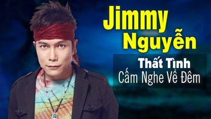 Thất Tình Cấm Nghe Về Đêm - JIMMY NGUYỄN  99 Bản Tình ca Thập Niên 2000 Buồn Rối Lòng