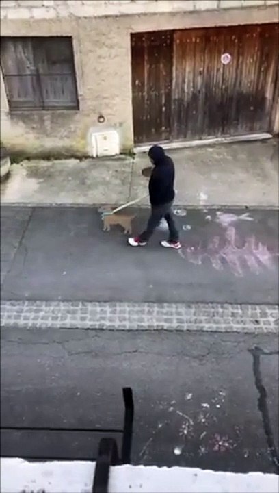 Promenade d'un faux chien en carton pour sortir de confinement !