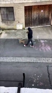 Promenade d'un faux chien en carton pour sortir de confinement !