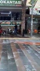 Şehir eşkıyasından sokak köpeğine işkence kamerada!