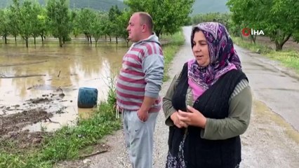 İznik'te şiddetli sağanak sonrası binlerce dönüm ekili tarla sular altında