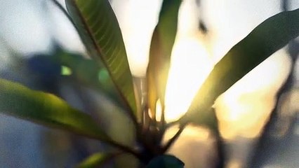 A vendre - Appartement - Villeneuve (1844) - 1.5 pièces - 44m²