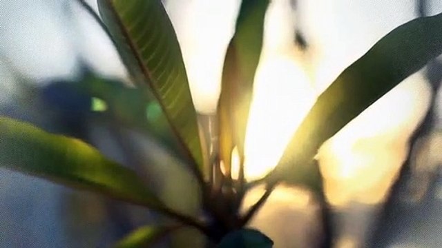 A vendre - Appartement - Villeneuve (1844) - 1.5 pièces - 44m²