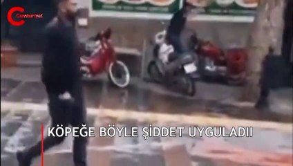 Köpeğe böyle şiddet uyguladı! Kendisine tepki gösteren adama hakaretler yağdırdı