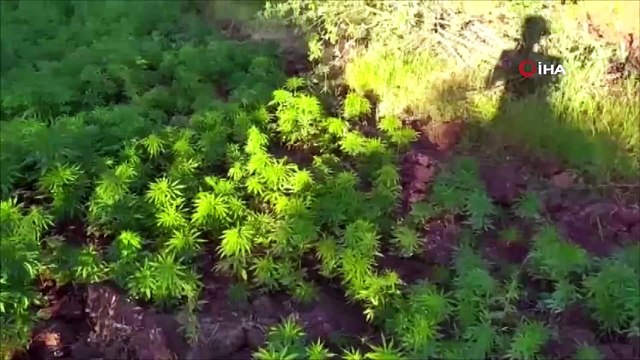 Diyarbakır’da terörün finans kaynağına büyük darbe, son 6 ayın en yüksek miktarı yakalandı