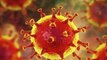 coronavirus: COVIDNEWMEDICINE : मिल गया कोरोना का इलाज ...रेमडेसिविर से कोरोना संक्रमित का इलाज संभव !